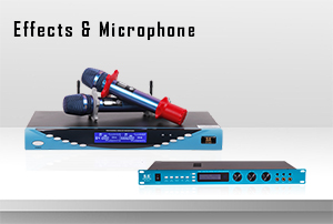 Effects &  Digital Loudspeaker Management  & Microphone